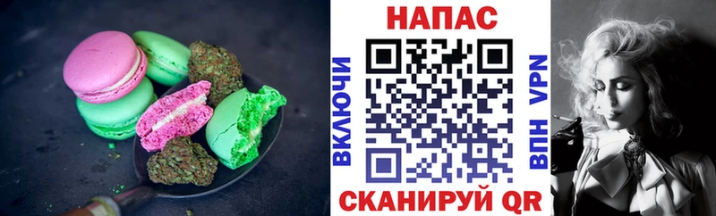 Canna-Cookies конопля  Майкоп 