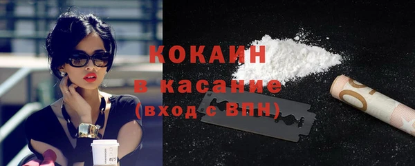 apvp Богородицк