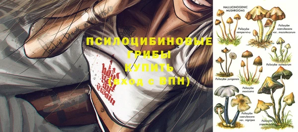 apvp Богородицк