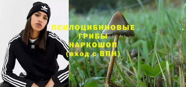 apvp Богородицк